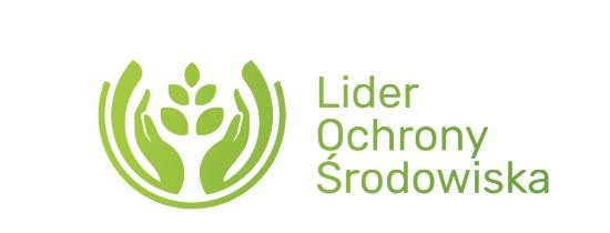 Obraz lider