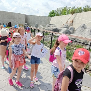 Przedszkolaki z oddziału 0 w zamojskim ZOO