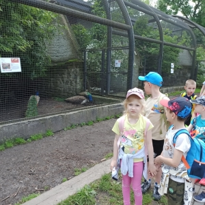 Przedszkolaki z oddziału 0 w zamojskim ZOO