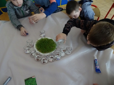 Hodowla rzeżuchy u pierwszaków