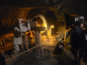 Wycieczka do Wieliczki i Krakowa